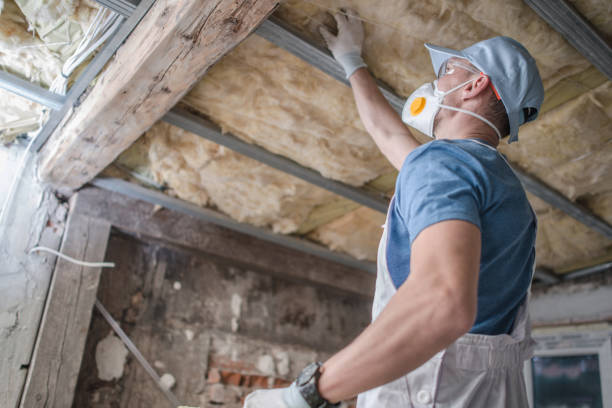 Best Insulation Installation Services in Dayton, TN