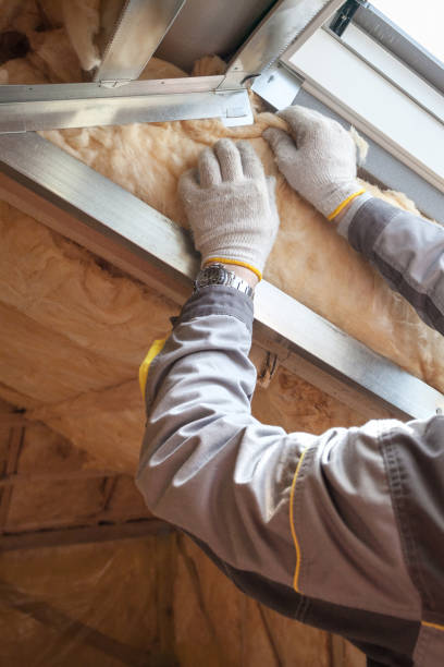 Best Residential Insulation in Dayton, TN